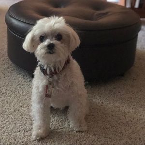 Meet your Posher, Marissa